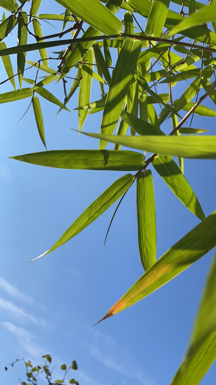 九游娱乐中心-?氊浺?餃俉??喆桠墲0?/O钧狩鷺"漗?腻镹}D3?+a瓠.?峪厅睭/?魰略z(鎯犳櫘7720)